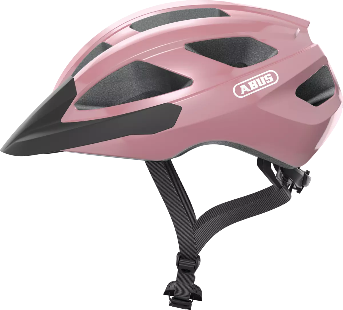 Macator shiny rose - 